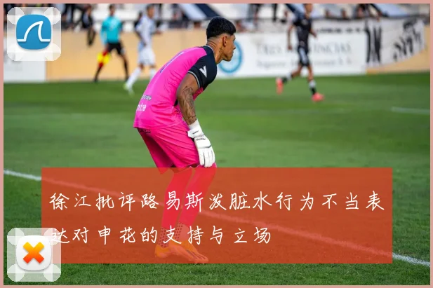 徐江批评路易斯泼脏水行为不当表达对申花的支持与立场