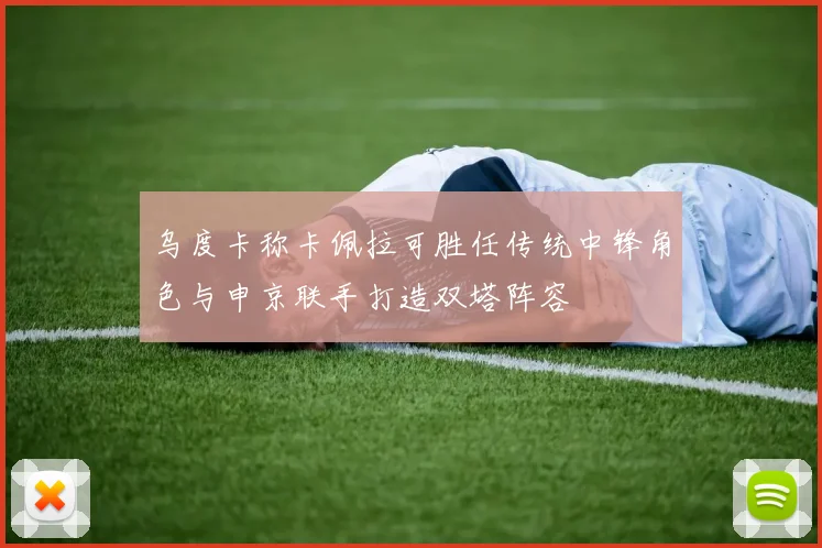 乌度卡称卡佩拉可胜任传统中锋角色与申京联手打造双塔阵容