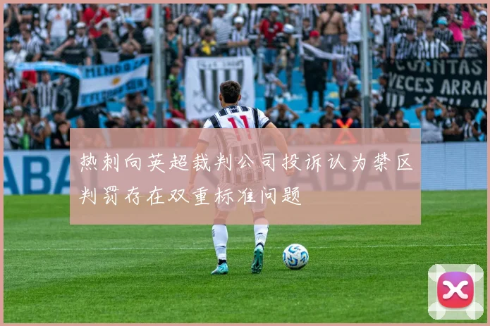 热刺向英超裁判公司投诉认为禁区判罚存在双重标准问题