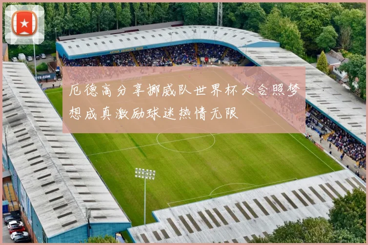 厄德高分享挪威队世界杯大合照梦想成真激励球迷热情无限