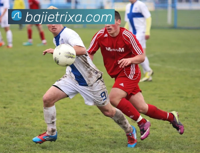 多媒体互动体验